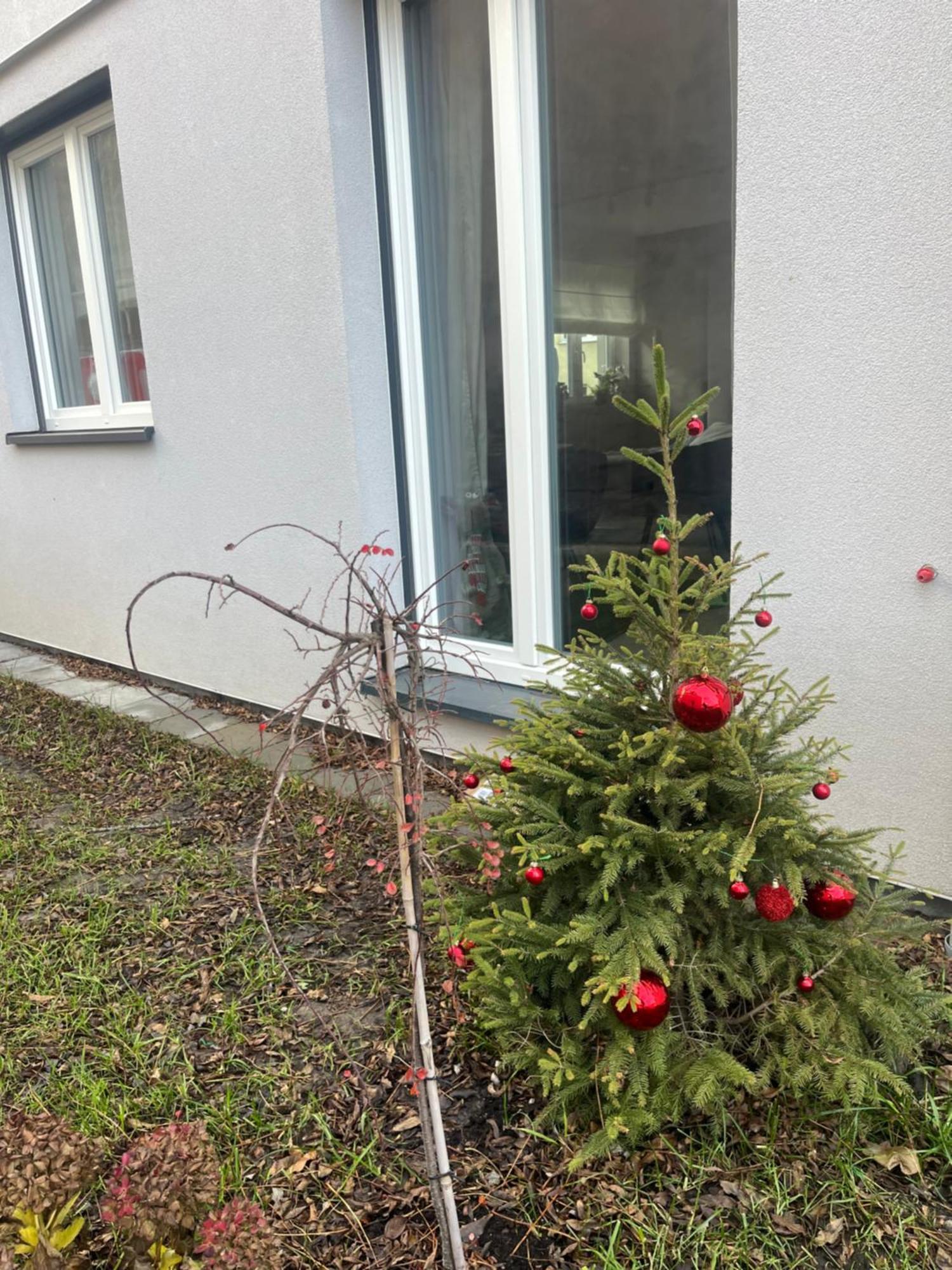 Apartament Kaszmirowy Bielsko-Biała Exterior foto